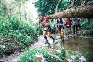 BIB: 
                            <button type="button" onclick="openModal(25459068)" class="btn btn-primary btn-sm float-right btn-popup" data-toggle="modal" data-target=".modal-high-quality">
                        <i class="fas fa-shopping-cart"></i> Add to Cart
                    </button>
                                            <button type="button" onclick="isThisMe(25459068, true)" class="btn btn-success btn-sm float-right btn-popup btn-isme hidden" data-toggle="tooltip" data-placement="bottom" title="นี่คือรูปของคุณใช่ไหม คลิกที่นี่เพื่อเอาเข้าอัลบั้ม">
                        <i class="fas fa-plus"></i> Add to album
                    </button>
                    <button type="button" onclick="isThisMe(25459068, false)" class="btn btn-warning btn-sm float-right btn-popup btn-isnotme hidden">
                        <i class="fas fa-ban"></i> Remove from album
                    </button>